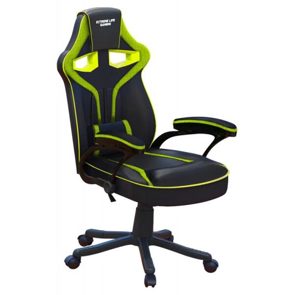 Cadeira Gamer ELG Raptor CH04GE - Preto/Verde