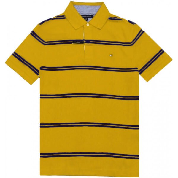 Camisa Polo Tommy Hilfiger C8878C6362 737 - Masculina