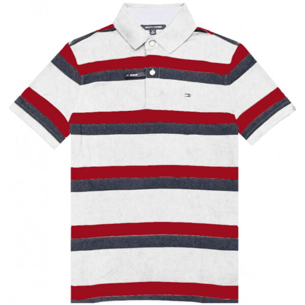 Camisa Polo Tommy Hilfiger C8878C6363 112 - Masculina