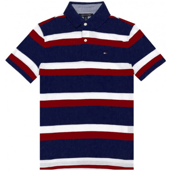 Camisa Polo Tommy Hilfiger C8878C6363 416 - Masculina