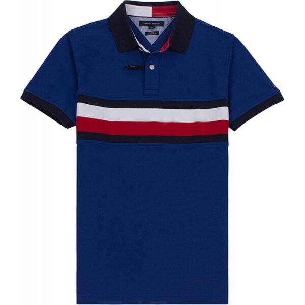 Camisa Polo Tommy Hilfiger C8878D2067 439 - Masculina