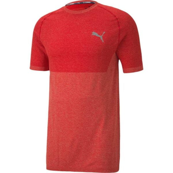 Camiseta Puma 581505 11 - Masculina