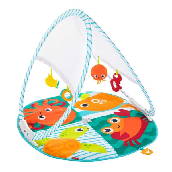 Ginásio Portátil Para Bebês Fisher-Price - FXC15