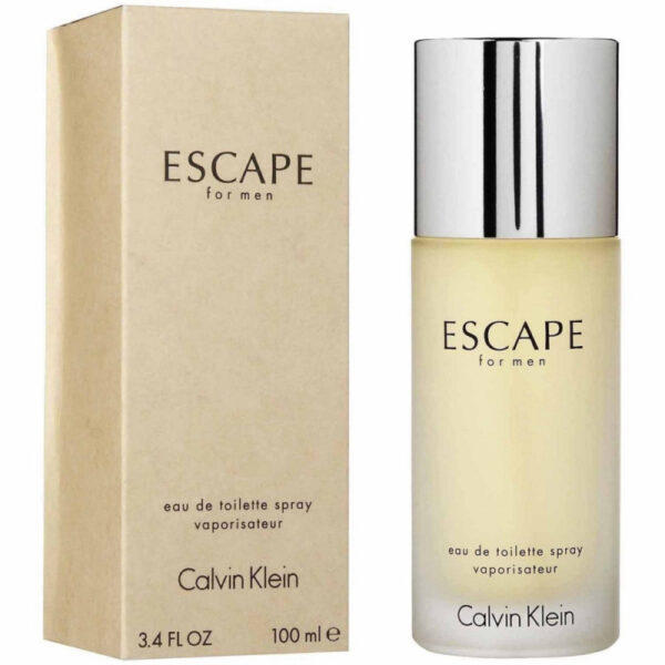 Perfume Calvin Klein Escape EDT 100mL - Masculino