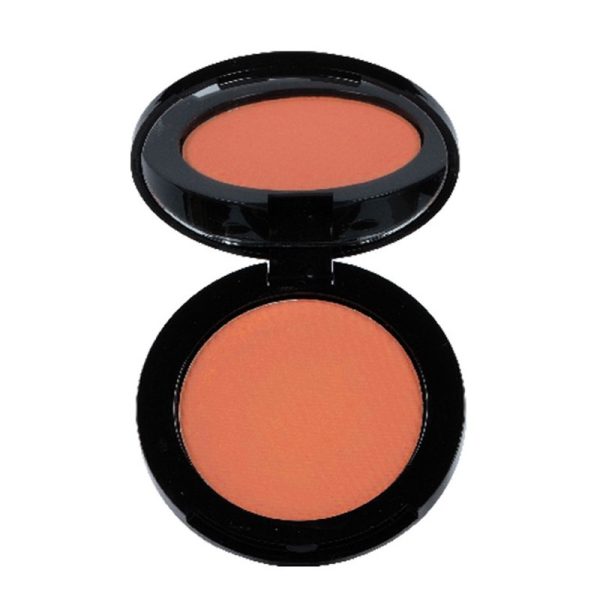 Blush SLA Paris Pink in Cheek 04 Terre Sauvage - 6