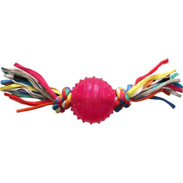 Brinquedo para cachorros Rosa 6.3cm - Pawise Fetch & Play 14541