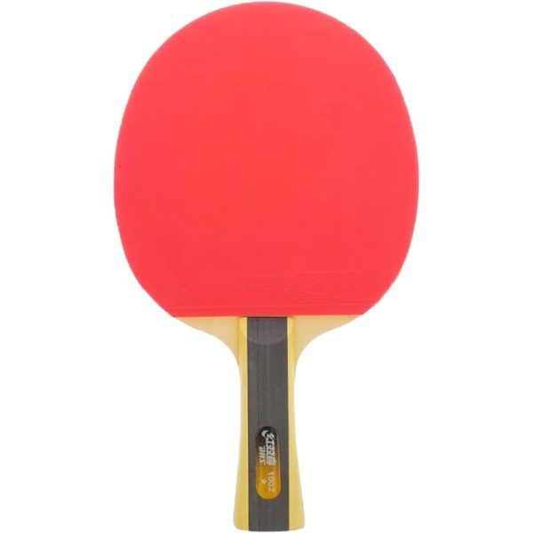 Raquete para Ping Pong 1002 DHS R170448-0