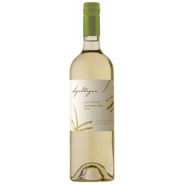 Vinho Apaltagua Gran Verano Sauvignon Blanc 2019