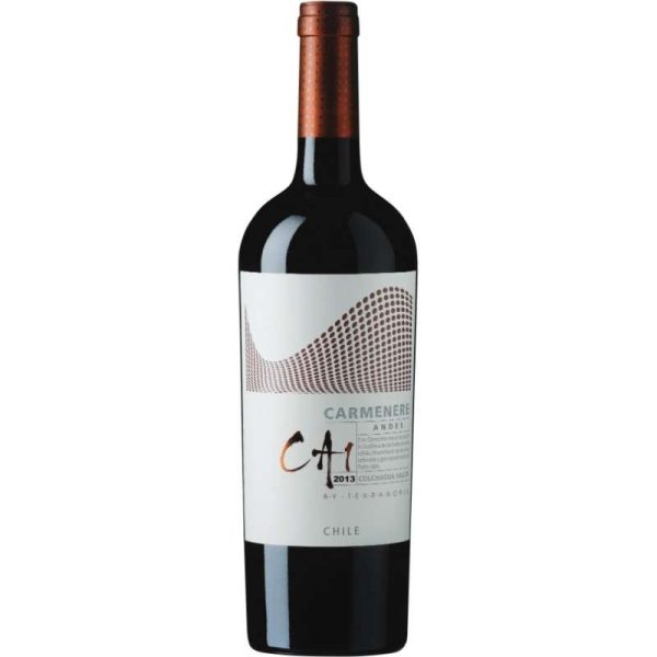 Vinho Terranoble CA1 Carmenere Andes 2013